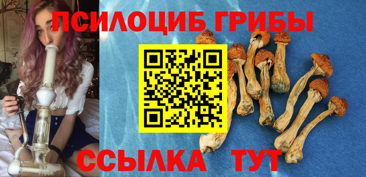 Псилоцибиновые грибы ЛСД Сосновоборск
