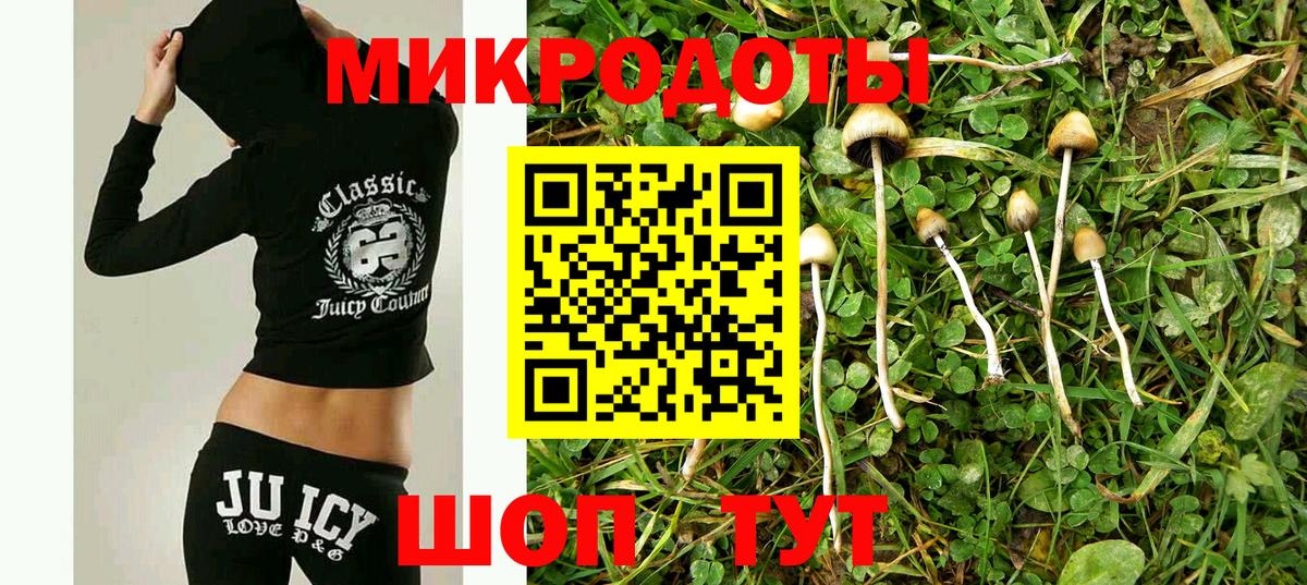Сосновоборск  Галлюциногенные грибы Cubensis  как найти   Псилоцибиновые грибы Psilocybe  Вход с VPN 